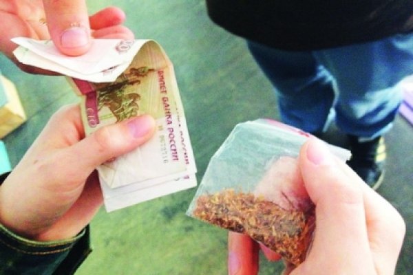 Ссылка кракен зеркало тор