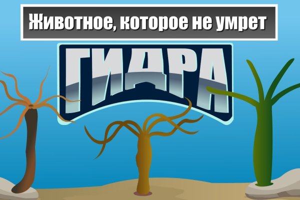 Купить героин в москве