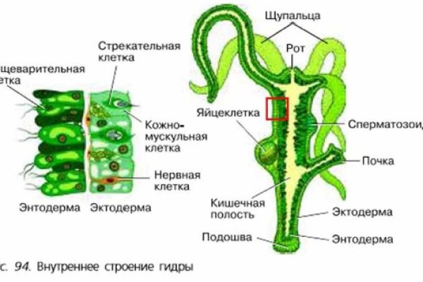 Ссылка на кракен оригинал