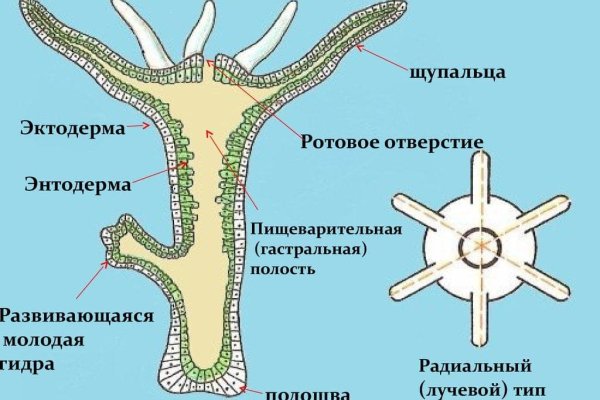 Кракен зеркала krk store com