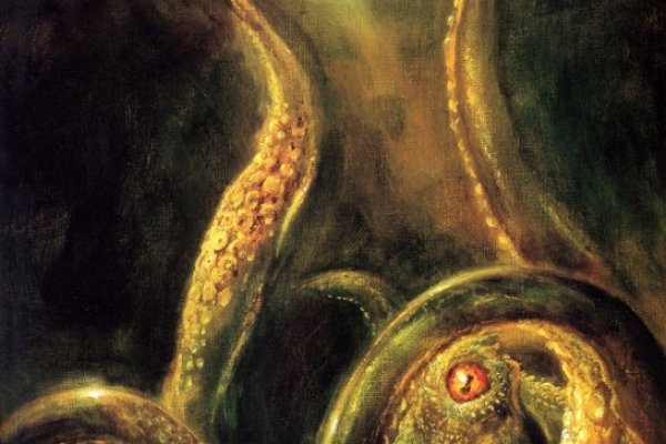 Kraken 11at