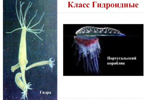 Кракен 2kr pro