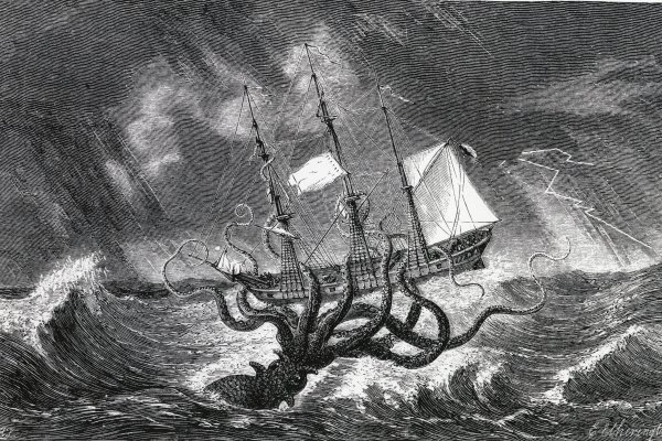 Kraken darknet marketplace