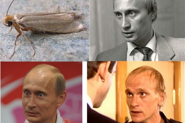 Кракен орг