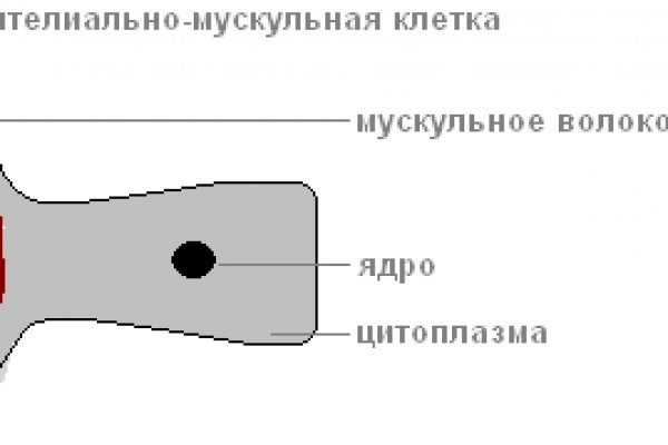 Кракен площадка торговая kr2web in